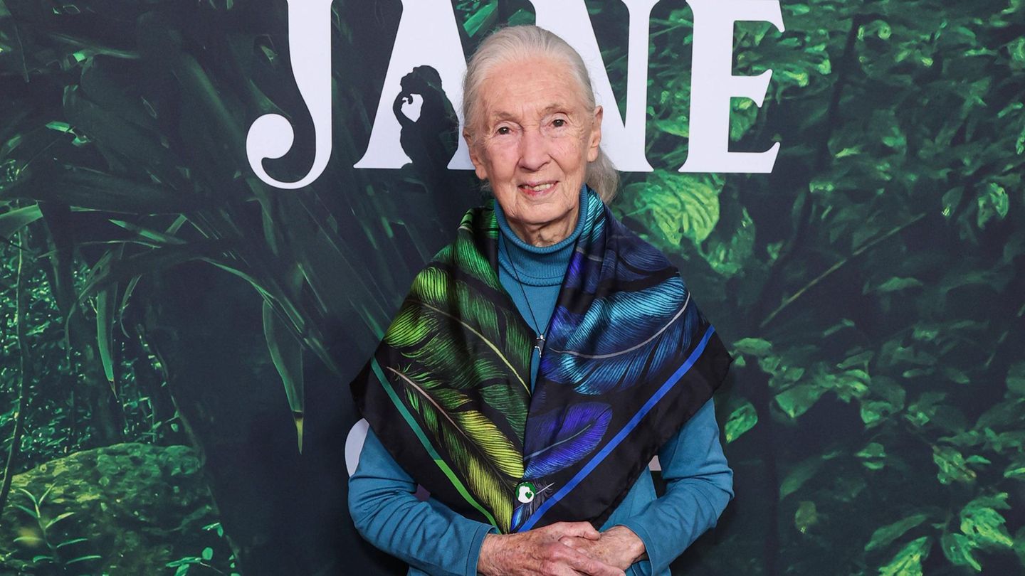 Jane